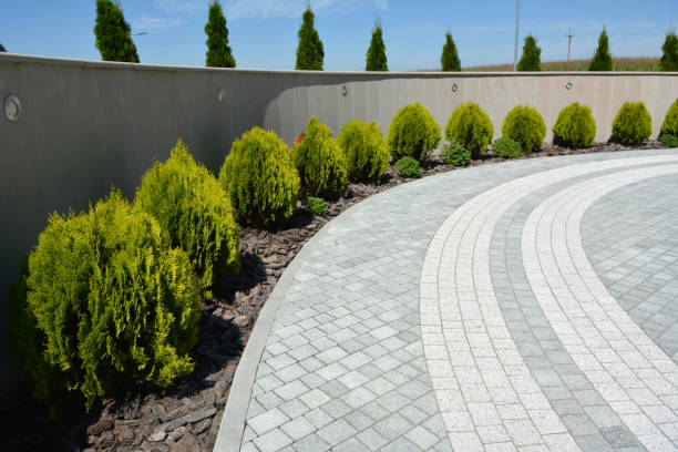 Reasons to Select Us for Your Driveway Paving Requirements in Superior, CO